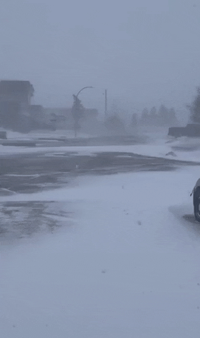 Winter Storm Snow GIF by Storyful