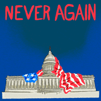 Impeach Never Again GIF by Creative Courage