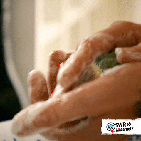 Diy Cleaning GIF by SWR Kindernetz