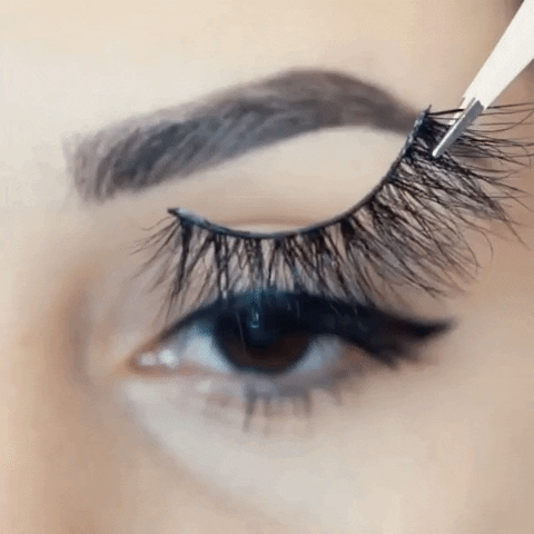 GIF by Divineworldoflashes