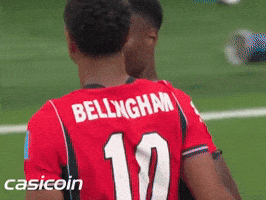 Bellingham GIF by Casi Social