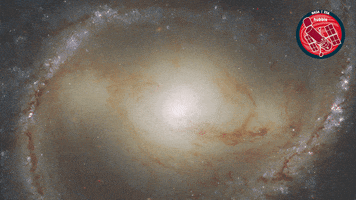 Eye Nasa GIF by ESA/Hubble Space Telescope
