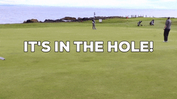 Golficity golf in the hole golficity its in the hole GIF