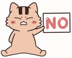 貓 No GIF