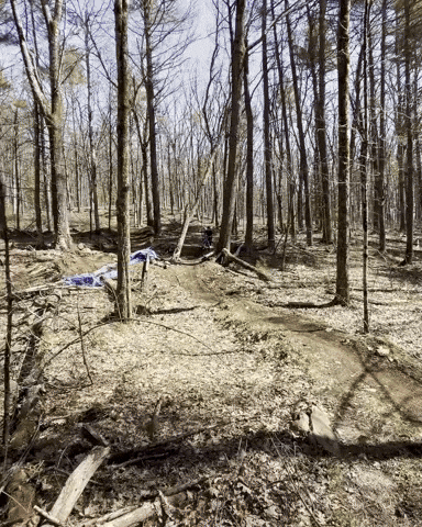 Mtb Derry GIF