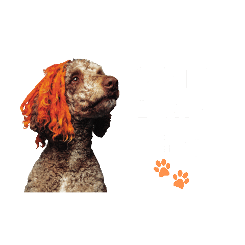 Dog Family Sticker by Leos Doghouse