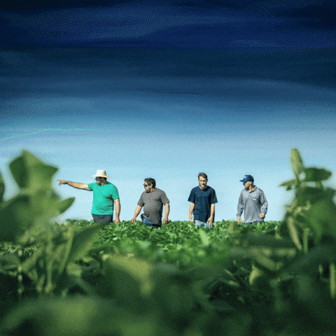 Soja Gera GIF by BASF Soluções para a Agricultura