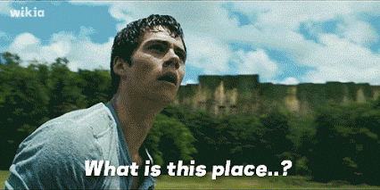 maze runner