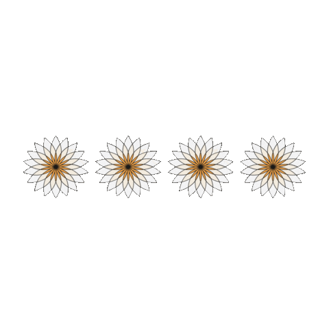 ambarellos Sticker