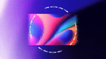 GIF by Peexeo