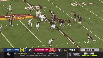 Michigan Football GIF