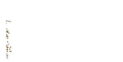 Dina Beauty Protex Tirnak Sticker