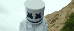A Day To Remember GIF by Marshmello
