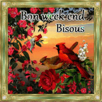 week-2-EqCeqjCNdopQk