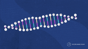 Animation Dna GIF by The Explainer Studio