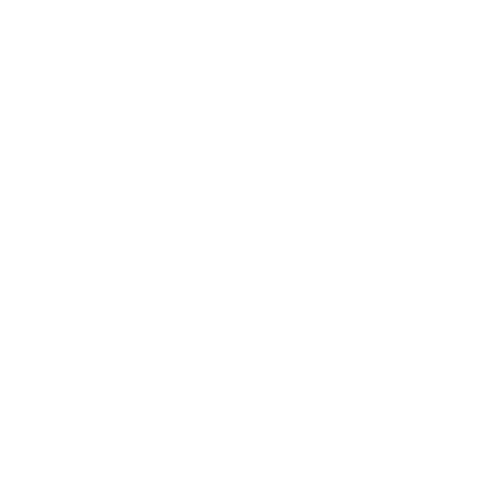 Lugrad Sticker by Liberty University