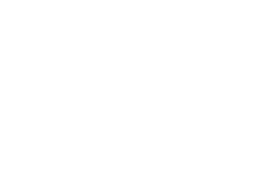 The Whipple Group Sticker