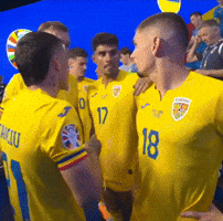 Euro Romania GIF