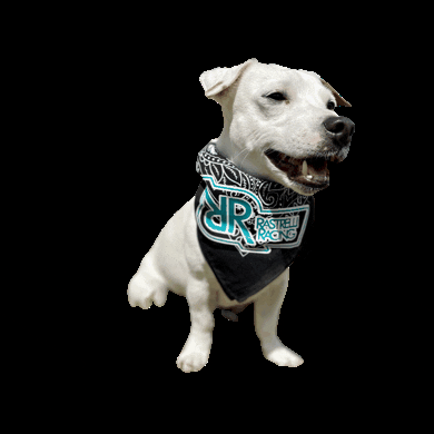 Rastrelli Racing GIF