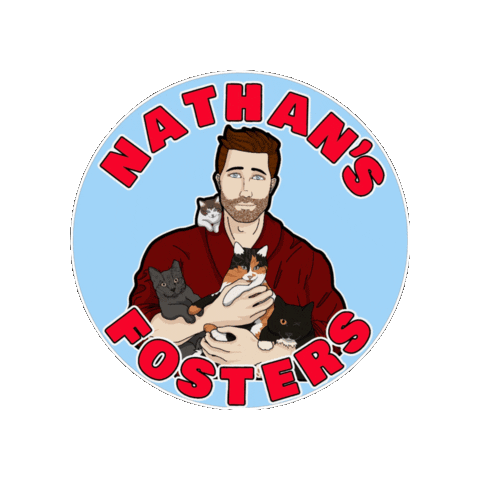 Nathan Foster Sticker by Smitten Kitten