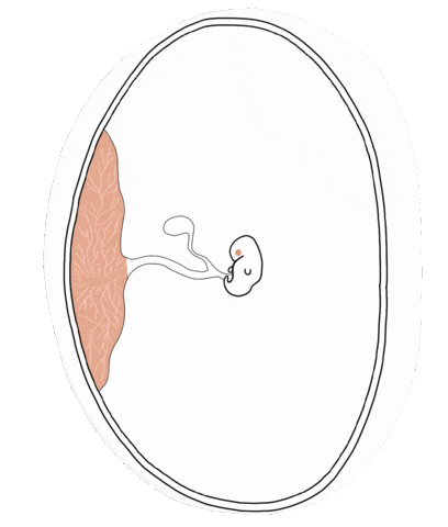 Baby Maternidad Sticker