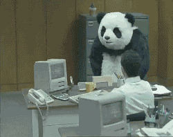 the office panda rage fuck this fuck this shit GIF