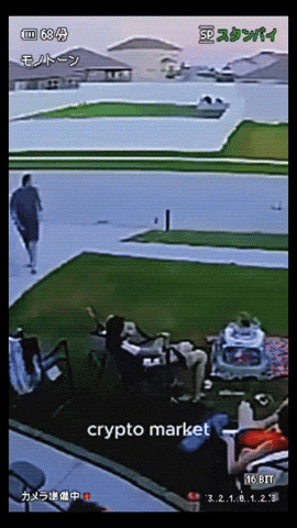 Good Morning Cat GIF