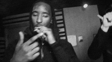 Smoke Smoking GIF by 009fly