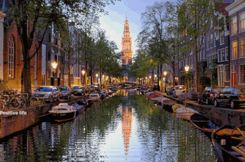 Amsterdam GIFs - Get the best GIF on GIPHY