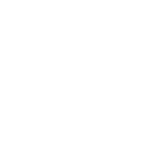 Disnove Volkswagen Sticker