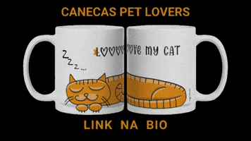 significar gatos canecas gato preto pet lovers GIF