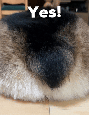 Dog Yes GIF