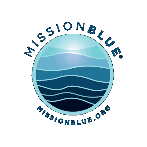 Protect Sylvia Earle Sticker by Mission Blue