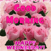 Good Morning Flowers Gifs Get The Best Gif On Giphy