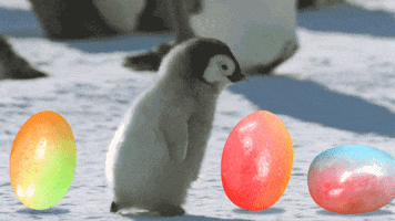 Baby Penguin candy GIF by Trolli