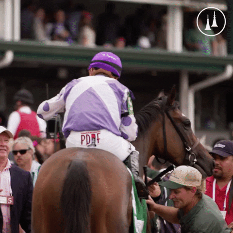TwinSpires GIF