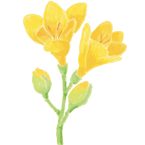 Drfelisflower Sticker by Dr.Felis