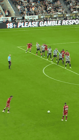 West Brom Goal GIF by West Bromwich Albion