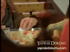 Yd Espri GIF by Yaprak Dökümü