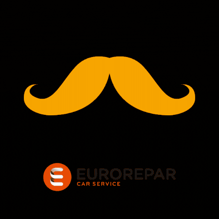 EuroreparCarServiceFrance GIF