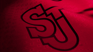 St Johns GIF by St. John's Red Storm