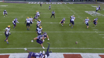 Big Ten Michigan GIF by Northwestern Athletics