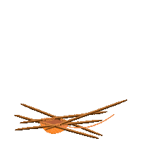 Fall Autumn Sticker by Schachenmayr