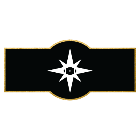 Vegas Knight Hawks Sticker