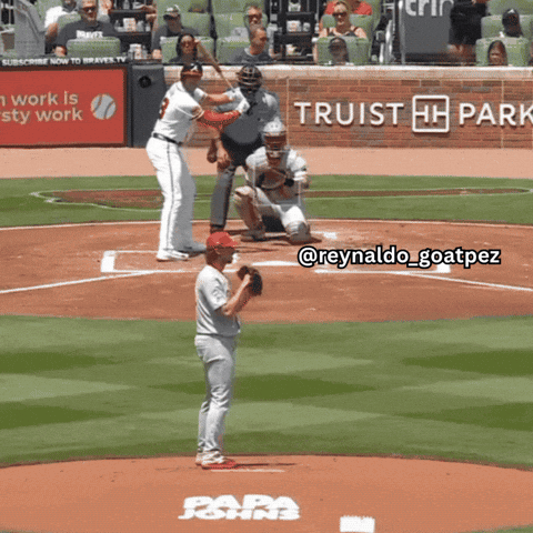 Atlanta Braves GIF