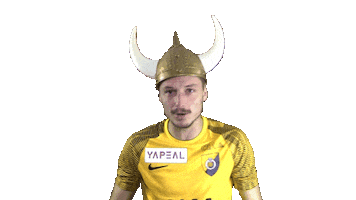 SRD Officiel Sticker