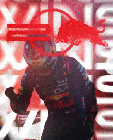 Max Verstappen GIF