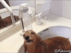 GIF odświeżający pod prysznicem - Find Share on GIPHY