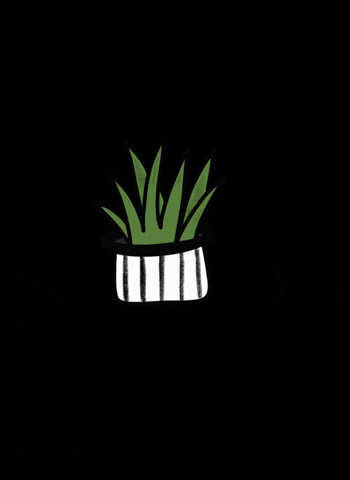 Cactus GIF