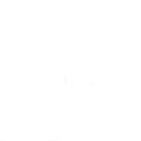 Cat 猫 Sticker